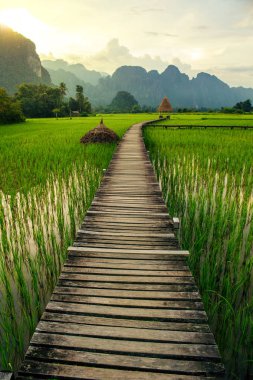 Dağ günbatımı ve yeşil pirinç tarlaları Vang Vieng, Laos