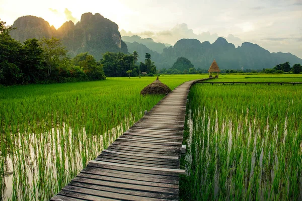 Pôr do sol sobre campos de arroz verde e montanhas em Vang Vieng, Laos — Fotografia de Stock
