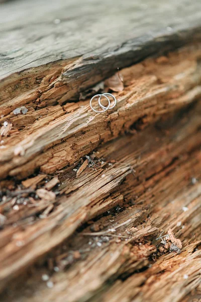 Anillos de boda con ramo — Foto de Stock