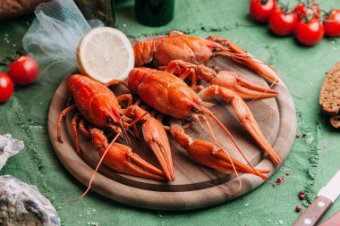 aperatifler ve bira için gıda