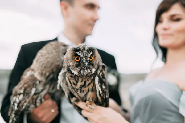 Matrimonio mistico con gufi — Foto Stock