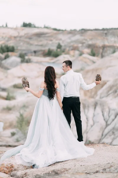 フクロウと神秘的な結婚式 — ストック写真