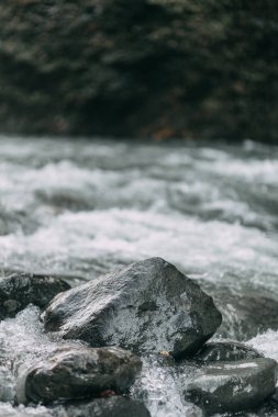 Güney Rusya, şelaleler Soçi, Milli Parklar, kariyer ve kanyonlar, bir rezerv ve aşılmaz bir Ormanı'nın doğal güzellikleri