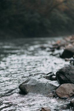 Güney Rusya, şelaleler Soçi, Milli Parklar, kariyer ve kanyonlar, bir rezerv ve aşılmaz bir Ormanı'nın doğal güzellikleri