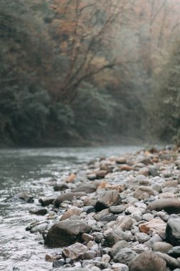 Güney Rusya, şelaleler Soçi, Milli Parklar, kariyer ve kanyonlar, bir rezerv ve aşılmaz bir Ormanı'nın doğal güzellikleri
