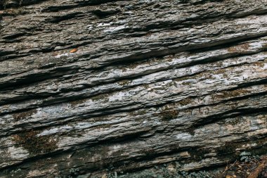 Güney Rusya, şelaleler Soçi, Milli Parklar, kariyer ve kanyonlar, bir rezerv ve aşılmaz bir Ormanı'nın doğal güzellikleri