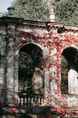 Rusya, Sochi bir sanatoryumda güneyinde eski binaların mimari