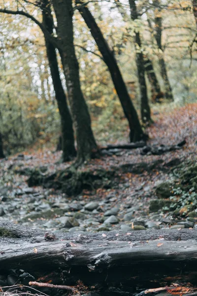 Naturlig Skönhet Södra Ryssland Vattenfall Sochi Nationalparker Karriärer Och Kanjoner — Stockfoto