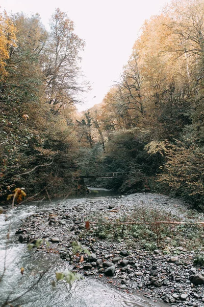 Belleza Natural Sur Rusia Cascadas Sochi Parques Nacionales Carreras Cañones —  Fotos de Stock