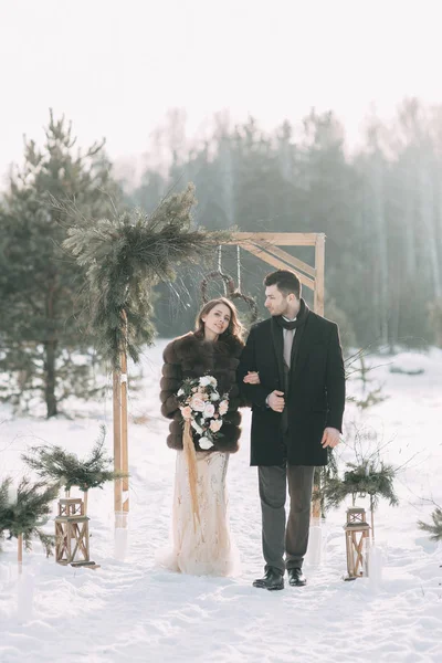 Wedding Photo Shoot Reindeer Scandinavian European Style Studio Outdoors Printing — Stock Photo, Image