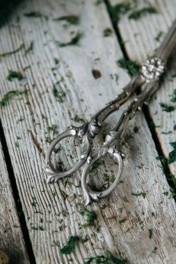 Bahar Easter çelenk dekorasyon iç ve kafasına bıldırcın yumurtası ile. Yosun ve yeşilliklerle ahşap arka plan