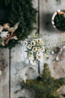 Bahar Easter çelenk dekorasyon iç ve kafasına bıldırcın yumurtası ile. Yosun ve yeşilliklerle ahşap arka plan