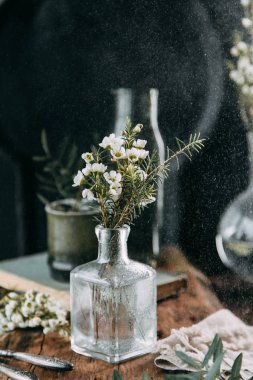 Bahar çiçekleri ve yeşillik dekor cam şişe su ve camına damlacıkları ile tablo içinde. Sıcak gama ve küçük çiçekler ve çim, koyu ahşap arka plan ile ölçülü kompozisyon