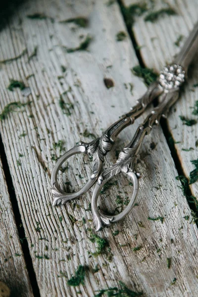 Bahar Easter çelenk dekorasyon iç ve kafasına bıldırcın yumurtası ile. Yosun ve yeşilliklerle ahşap arka plan