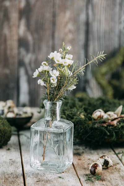 Bahar Easter çelenk dekorasyon iç ve kafasına bıldırcın yumurtası ile. Yosun ve yeşilliklerle ahşap arka plan