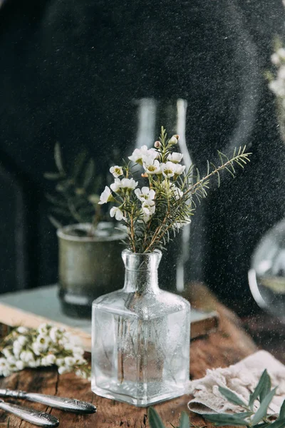 Весняні Квіти Зелень Декорі Столі Скляні Пляшки Водою Краплі Склі — стокове фото