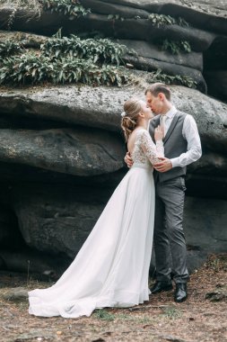Avrupa tarzında modern bir tören. Atmosferik ormanda kayalarla güzel bir çift.. 