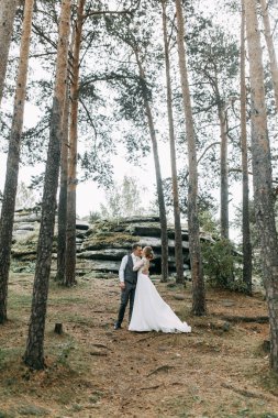 Avrupa tarzında modern bir tören. Atmosferik ormanda kayalarla güzel bir çift.. 
