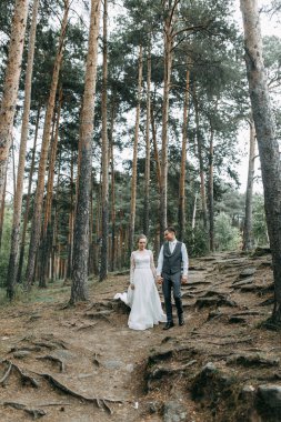 Avrupa tarzında modern bir tören. Atmosferik ormanda kayalarla güzel bir çift.. 