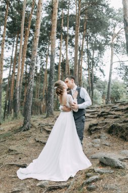Avrupa tarzında modern bir tören. Atmosferik ormanda kayalarla güzel bir çift.. 