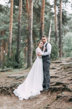 Avrupa tarzında modern bir tören. Atmosferik ormanda kayalarla güzel bir çift.. 