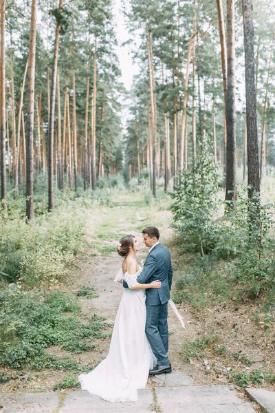 欧洲风格的现代仪式 美丽的新婚夫妇在有岩石的大气森林里 — 图库照片