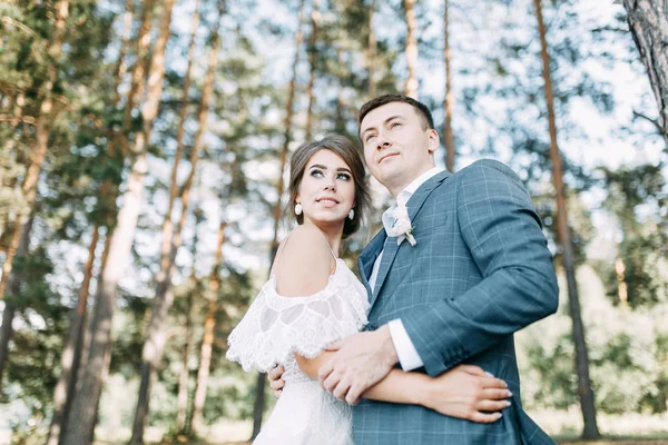 Stylish European Wedding Sunset Happy Couple Forest Nature — Stock Photo, Image