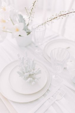  Mercan ve beyaz baskı kavramı. Fotoğraf stüdyosunun içi aydınlık. Beyaz düğün masası dekoru.