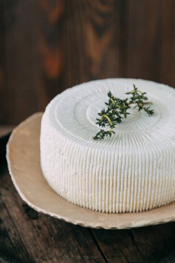 Taze ev yapımı peynir, şarap ve ekmek. Peynirle dolu bir hayat. Tabaktaki peynirden bir halka. 