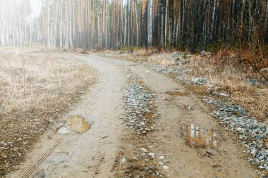 Taşlı eski bir yol ve çamurlu su birikintileri. Ormandaki çamurlu yol.. 