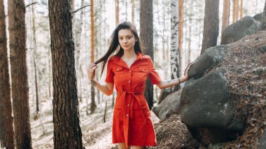 Orman perisi, güneşte portre. Seksi bir kızın güzel portresi. Güneşli bir bahar ormanında güzel bir kız. 