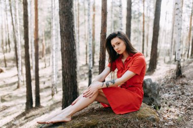 Orman perisi, güneşte portre. Seksi bir kızın güzel portresi. Güneşli bir bahar ormanında güzel bir kız. 