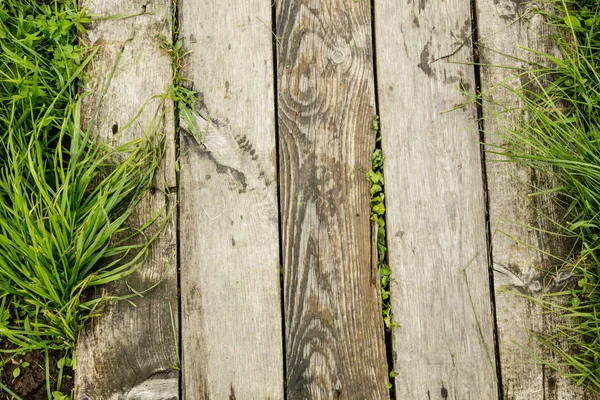 緑の草と草に覆われた木製のパス — ストック写真