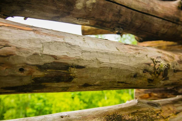 Ahşap inşaat günlüklerinden parçası