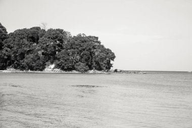 Tayland. Ağaçları denizin içinde bir adada