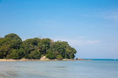 Tayland. Ağaçları denizin içinde bir adada