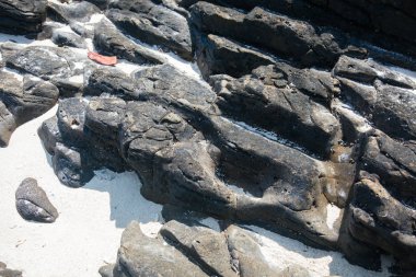 Volkanik taş ve kum plaj