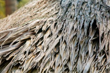 Yaprakları yapılmış plaj şemsiyesi