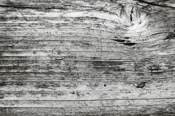 Um fragmento de uma velha porta de madeira — Fotografia de Stock