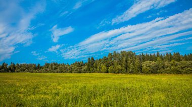Gökyüzü bulutlu alan