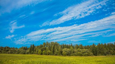 Gökyüzü bulutlu alan