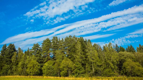 Gökyüzü bulutlu alan