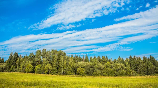 Gökyüzü bulutlu alan
