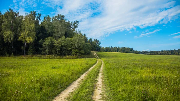 Himmel mit Wolken über dem Feld — Stockfoto