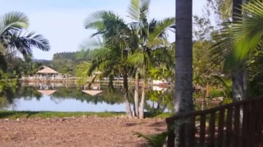 Hindistan cevizi ağaçlarıyla dolu güzel bir gölde kulübeler Sağdan Sola