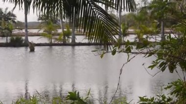 Birkaç Gölle Güçlü Hareket Ediyor