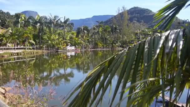 Schöner See Den Grünen Schluchten Mit Paddel Enten Fahrten Pan — Stockvideo