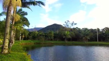 Sırtında dağ ve hindistan cevizi ağaçları olan göl.