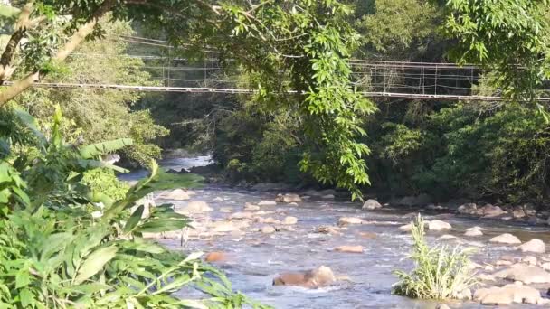 Ξύλινη Γέφυρα Πάνω Από Ένα Βραχώδη Ποταμό Μια Ζούγκλα — Αρχείο Βίντεο