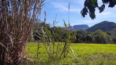 Yeşil bir tarladan Yeşil Kanyonlar